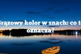 Brązowy kolor w snach: co to oznacza?