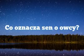 Co oznacza sen o owcy?