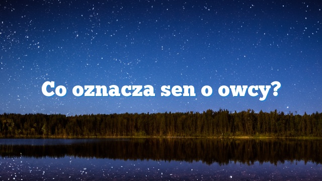 Co oznacza sen o owcy?