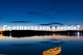 Co oznacza sen o sośnie?