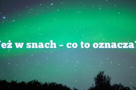 Jeż w snach – co to oznacza?