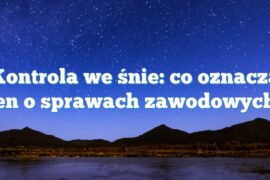 Kontrola we śnie: co oznacza sen o sprawach zawodowych?