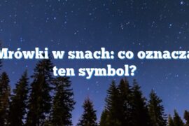 Mrówki w snach: co oznacza ten symbol?