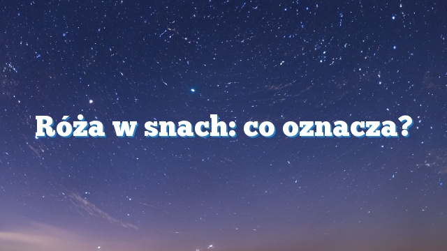 Róża w snach: co oznacza?