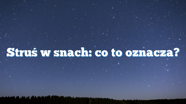 Struś w snach: co to oznacza?