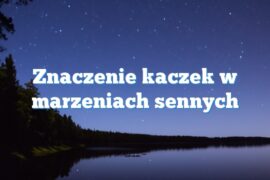 Znaczenie kaczek w marzeniach sennych