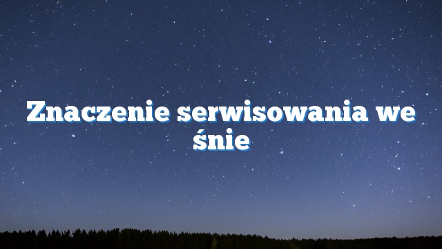 Znaczenie serwisowania we śnie