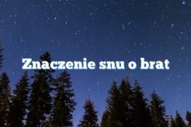 Znaczenie snu o brat