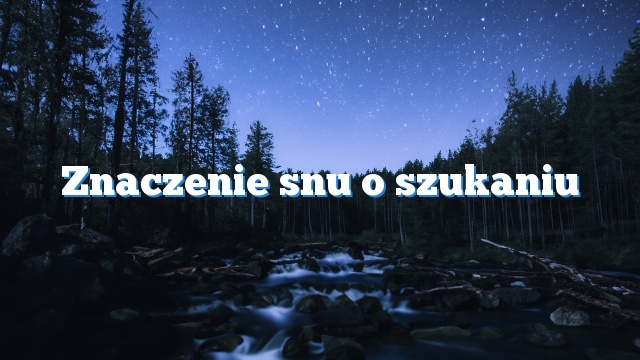 Znaczenie snu o szukaniu