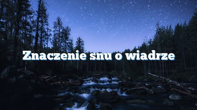 Znaczenie snu o wiadrze