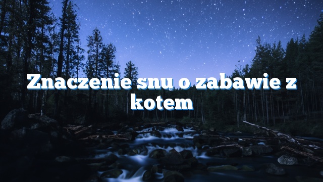 Znaczenie snu o zabawie z kotem