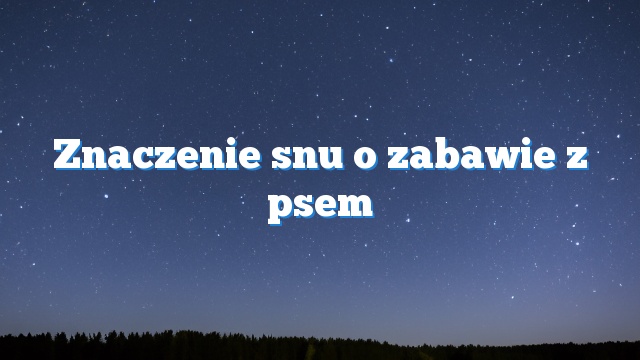 Znaczenie snu o zabawie z psem