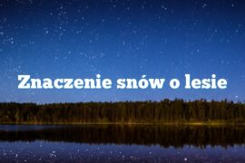 Znaczenie snów o lesie