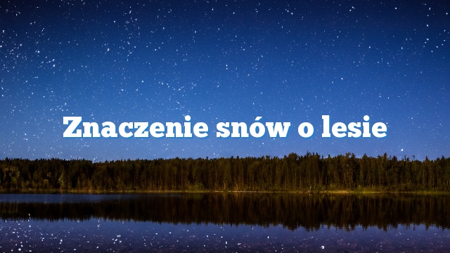 Znaczenie snów o lesie