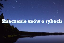 Znaczenie snów o rybach