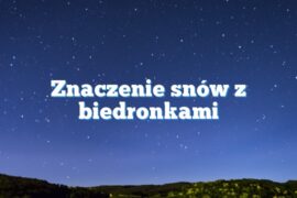 Znaczenie snów z biedronkami