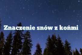 Znaczenie snów z końmi