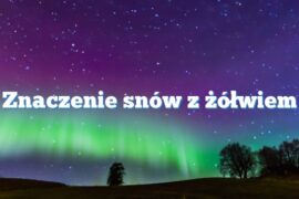 Znaczenie snów z żółwiem